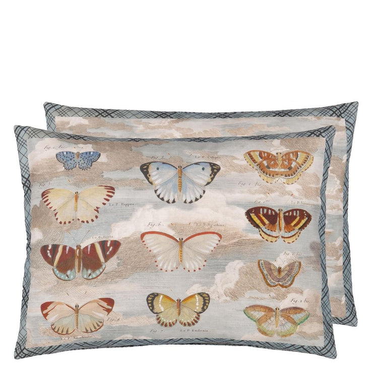 Butterfly Studies Parchment Cushion