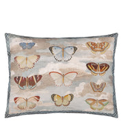 John Derian Butterfly Studies Parchment Cushion