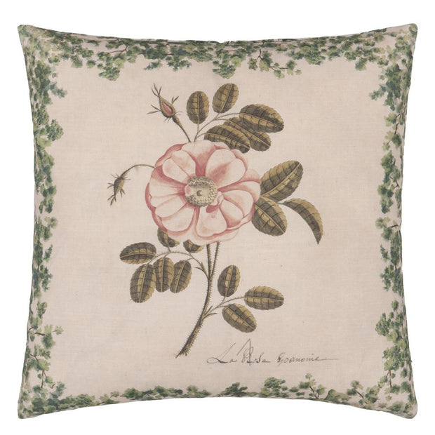 John Derian La Rose Rose Cushion