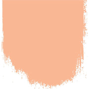Charentais Melon - No 188 - Perfect Floor Paint - 2.5 Litre