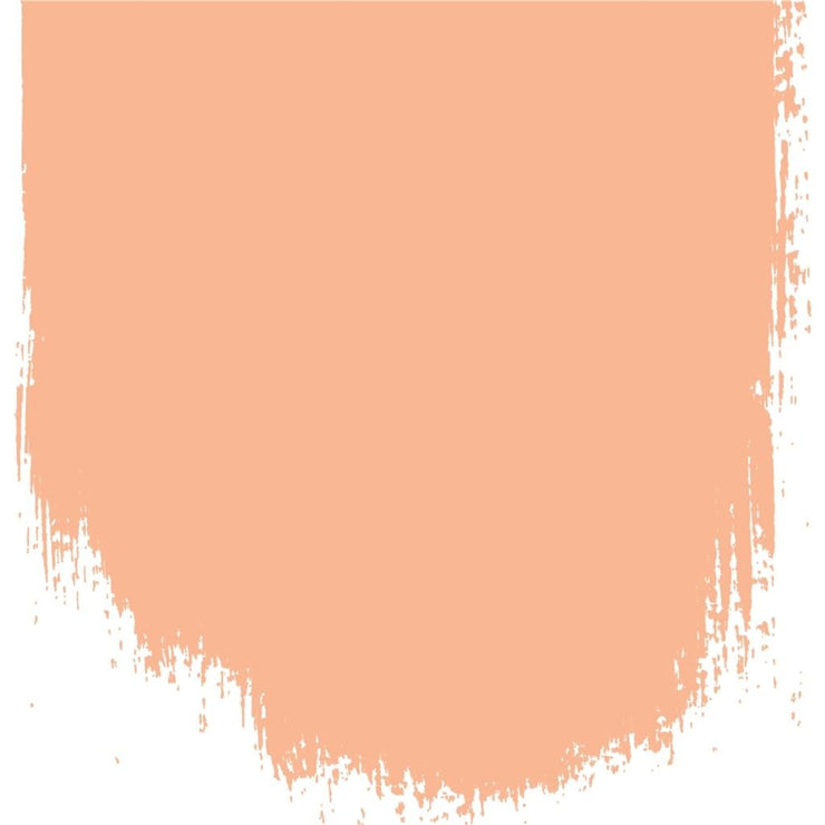 Designers Guild  Perfect Masonry Charentais Melon  No. 188 Paint