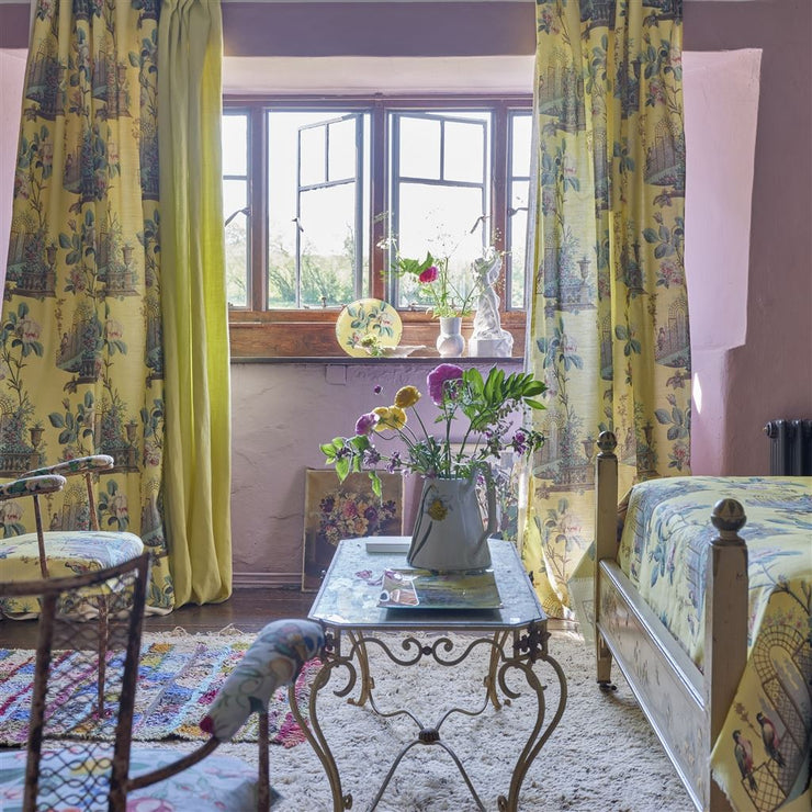 John Derian Ornamental Garden Mimosa