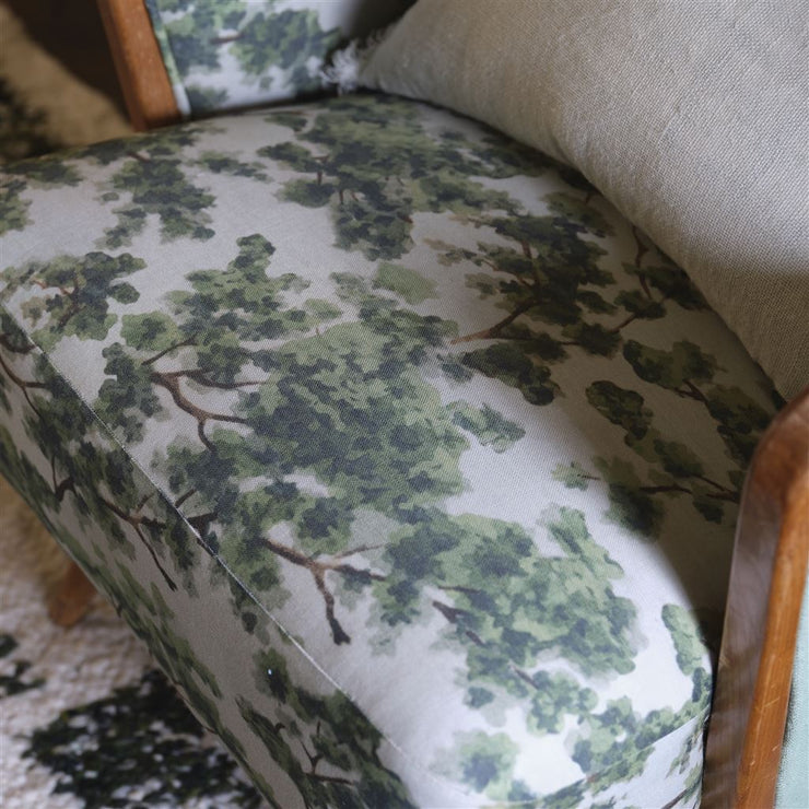 John Derian Woodland Forest