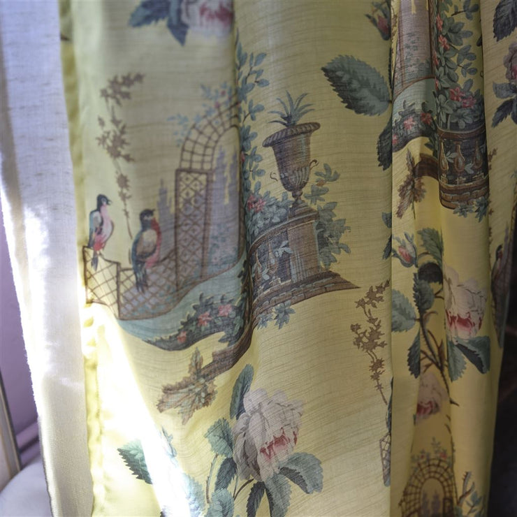 John Derian Ornamental Garden Mimosa