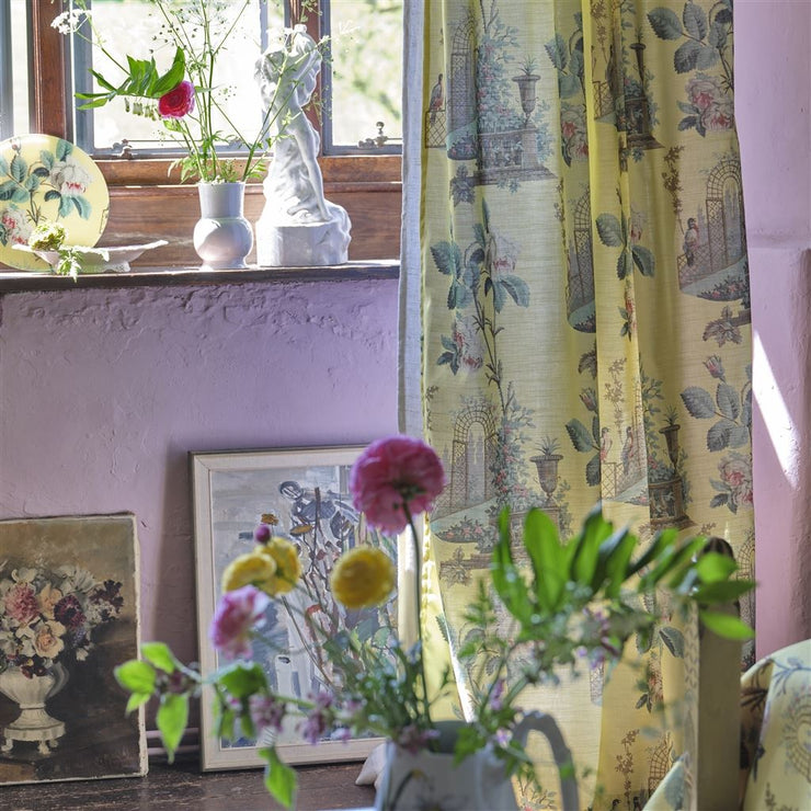 John Derian Ornamental Garden Mimosa