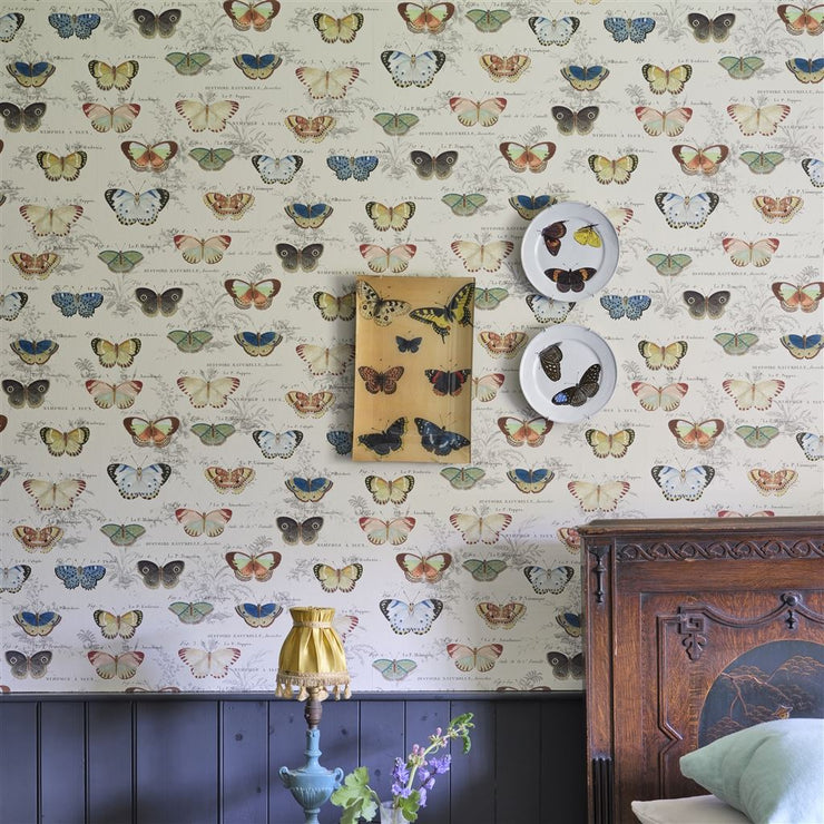 John Derian Butterfly Studies Parchment