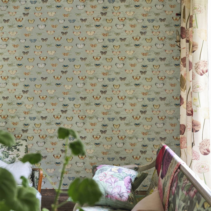 John Derian Butterfly Studies Eau De Nil