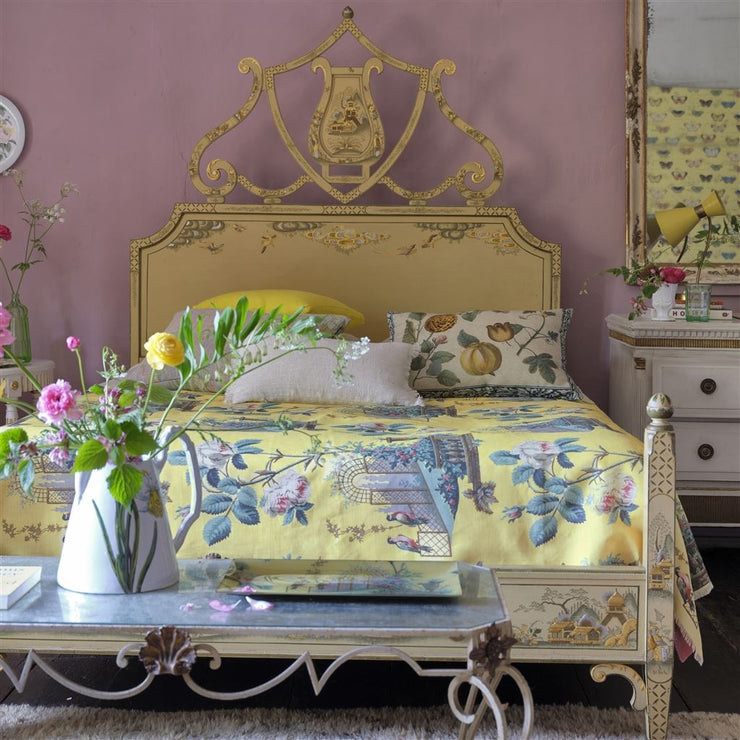 John Derian Ornamental Garden Mimosa