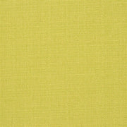 Bolsena - Alchemilla