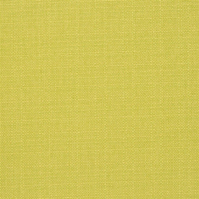 Bolsena - Alchemilla