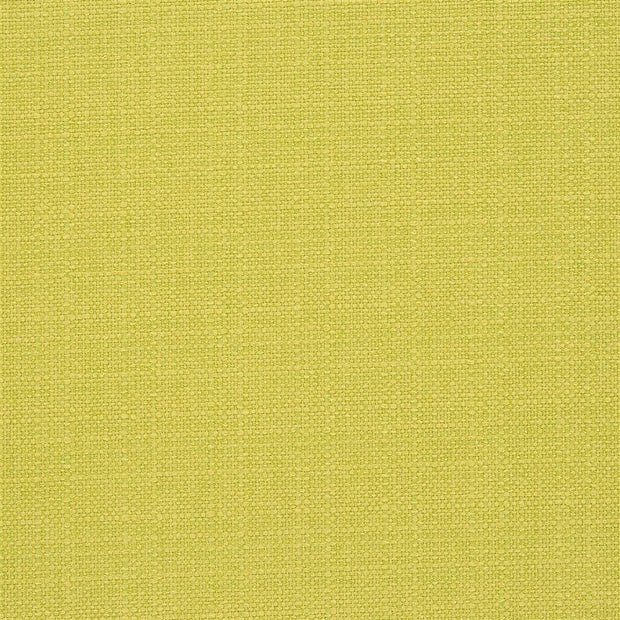 Bolsena - Alchemilla