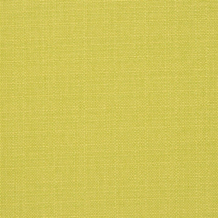 Bolsena - Alchemilla