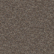 Cadenza - Cappuccino