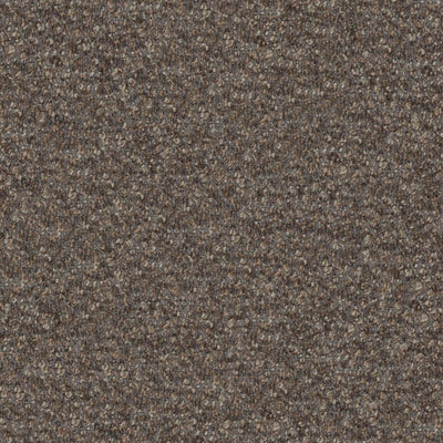 Cadenza - Cappuccino