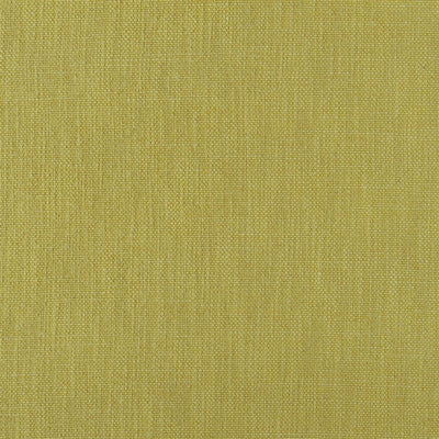 Tortona - Alchemilla