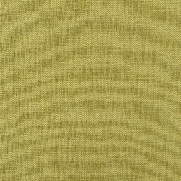 Tortona - Alchemilla