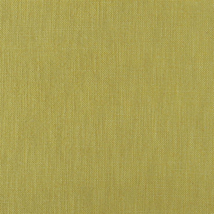 Tortona - Alchemilla