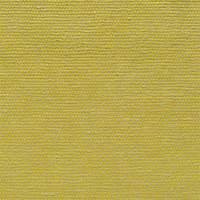 Roussillon - Alchemilla