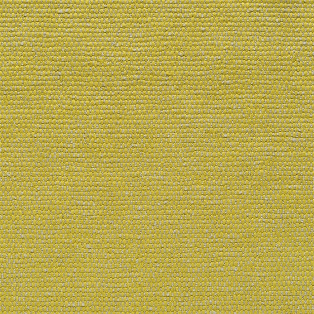 Roussillon - Alchemilla