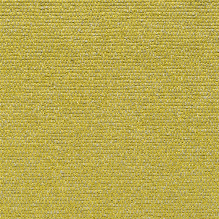 Roussillon - Alchemilla