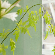 Designers Guild Essentials Tortona Eau De Nil