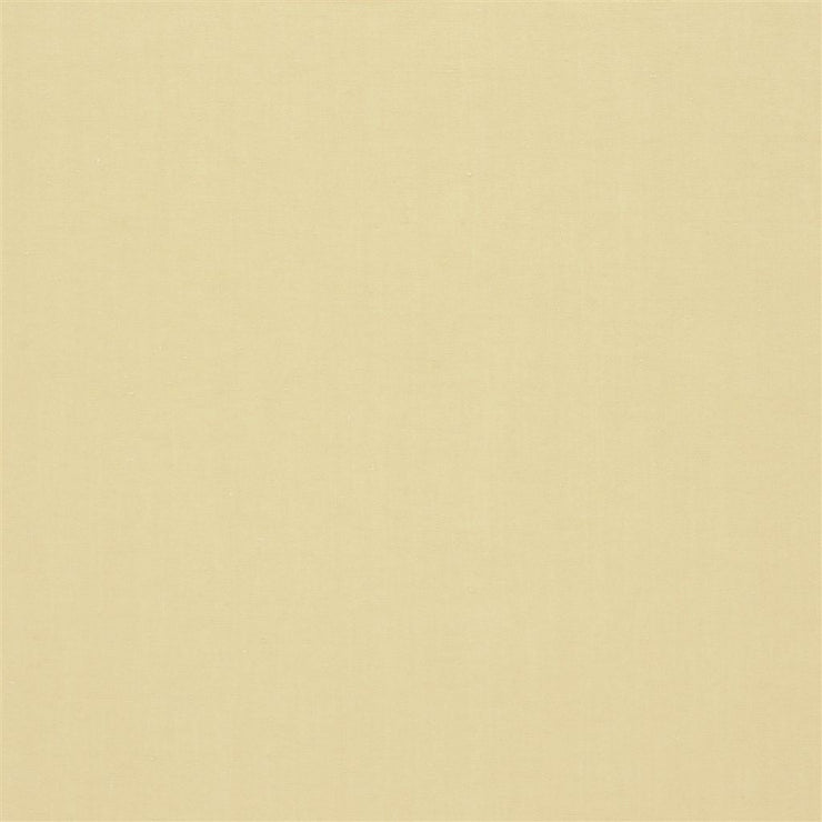 Lorenzo Alta - Rattan