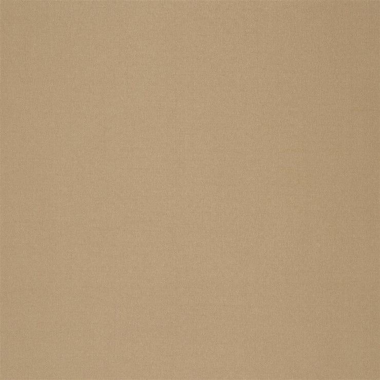 Zanardi Alta - Moleskin