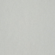 Striato - Pale Silver