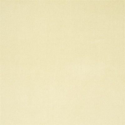 English Riding Velvet (uk)- Buckskin