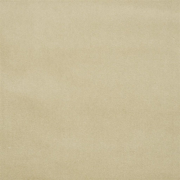 English Riding Velvet(uk) - Palomino