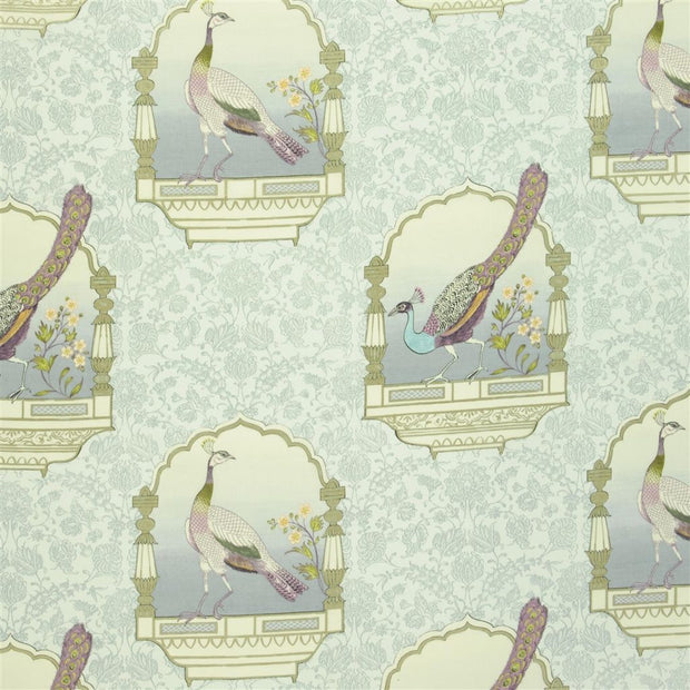 Peacock Flower - Heather