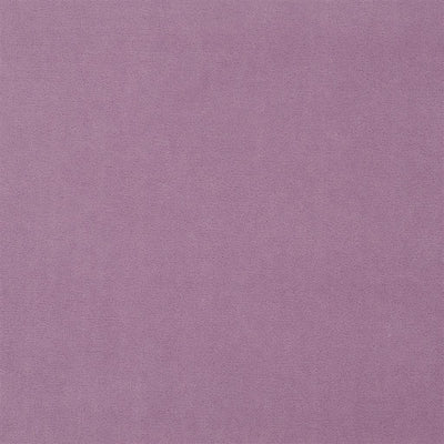 Royal Velvet - Orchid