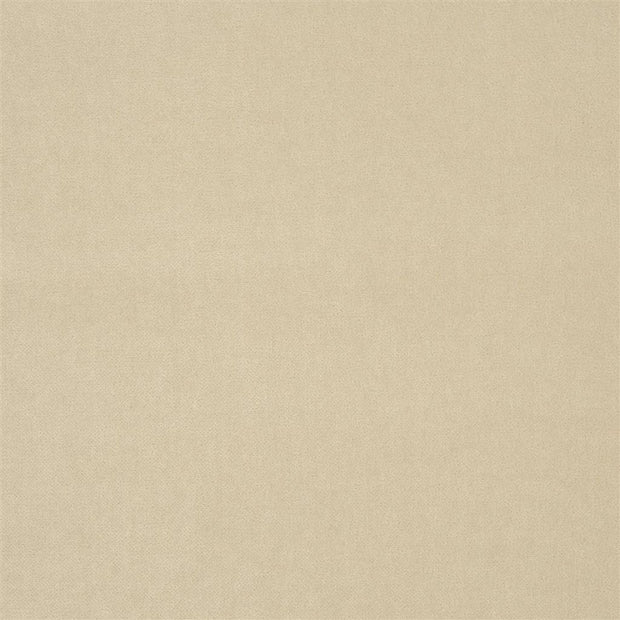 Royal Velvet - Parchment