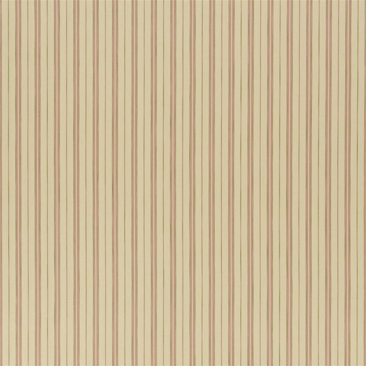 Cedar Point Stripe(f) - Shell