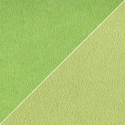 Moleskine - Absinthe