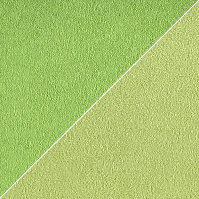 Moleskine - Absinthe