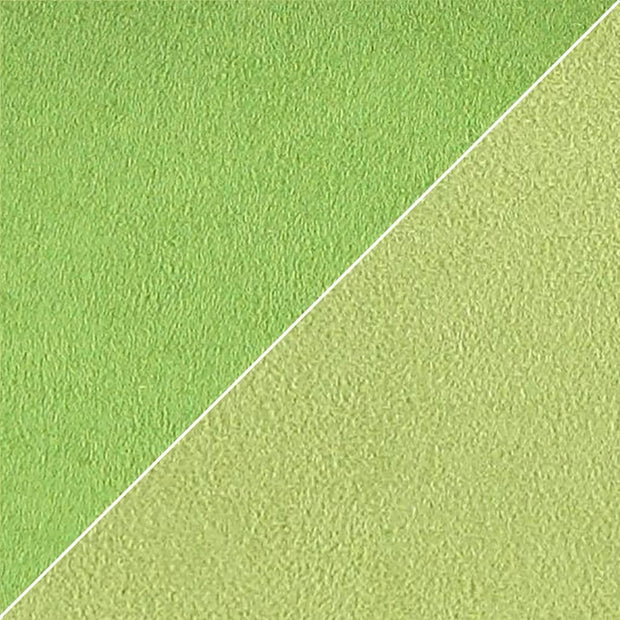 Moleskine - Absinthe