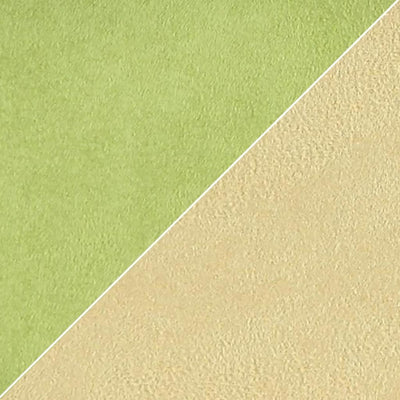 Moleskine - Chartreuse