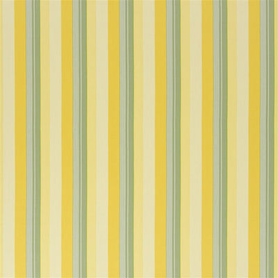 Greenport Stripe (pm)- Yellow/green