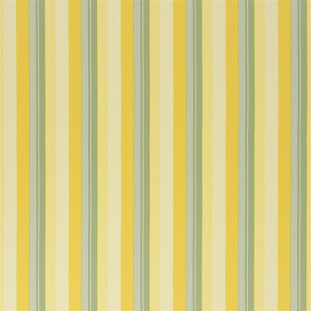 Greenport Stripe (pm)- Yellow/green