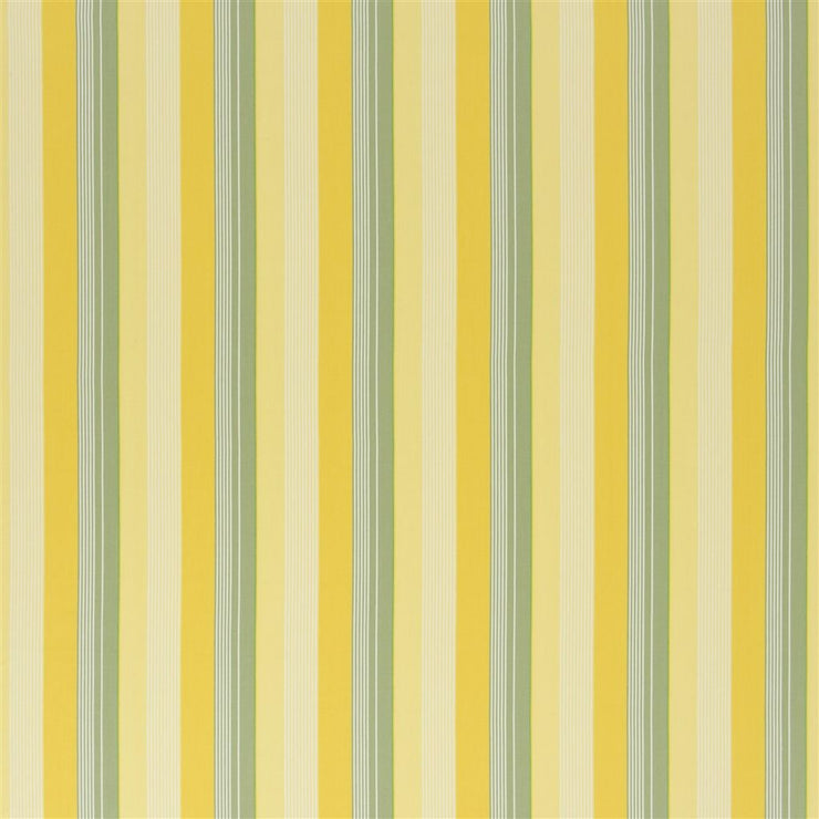 Greenport Stripe (pm)- Yellow/green