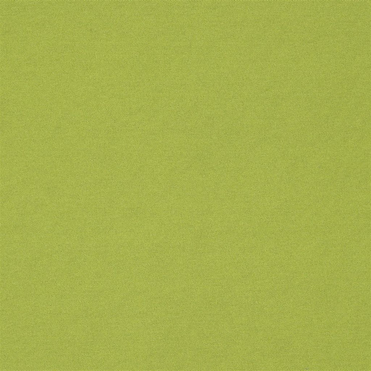 Mezzola Alta - Acacia