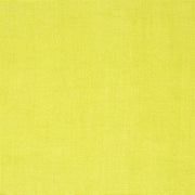 Brera Lino - Alchemilla