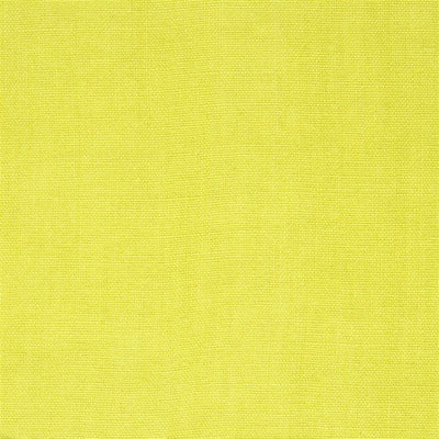 Brera Lino - Alchemilla