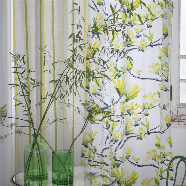 Designers Guild Essentials Brera Nastro - Lime