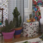 Christian Lacroix Mariposa - Perroquet