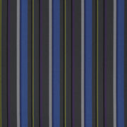 Webbing Stripe - Cobalt