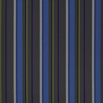 Webbing Stripe - Cobalt