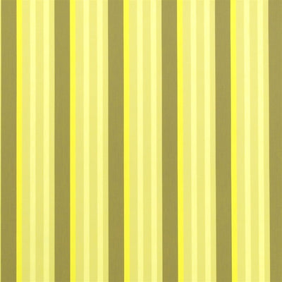 Oriola - Butterscotch