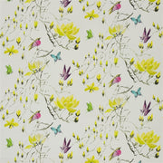 Madame Butterfly Ii - Acacia